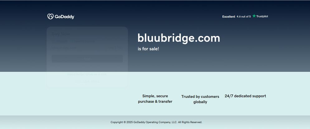 BLUUBRIDGE