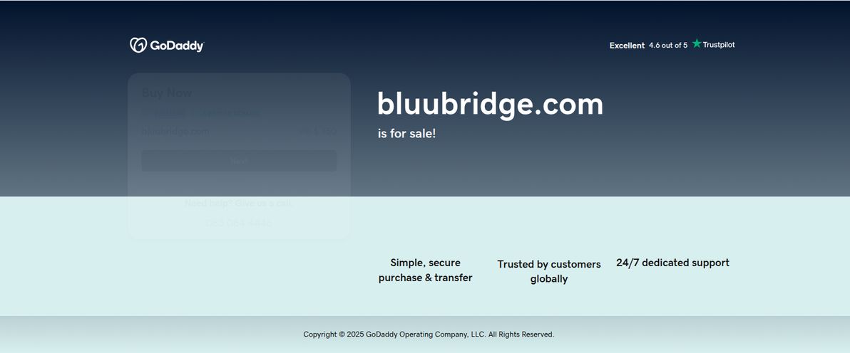 BLUUBRIDGE