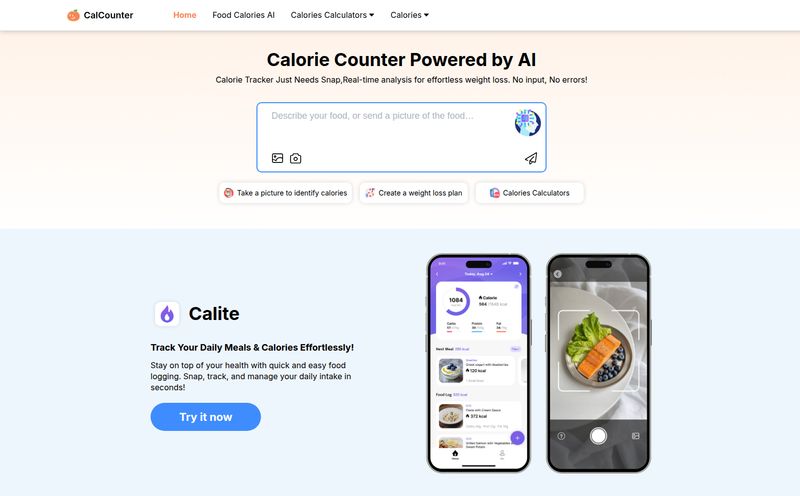 CalCounter