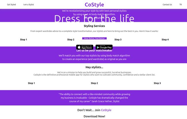 CoStyle