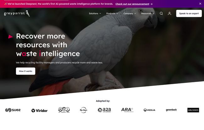 Greyparrot