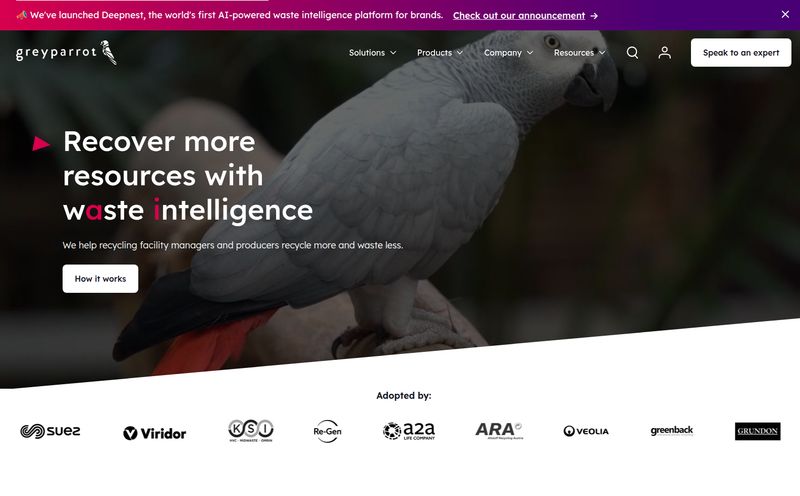 Greyparrot