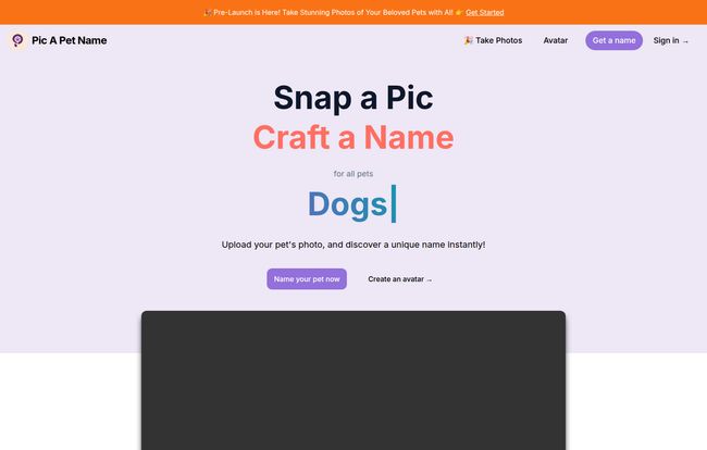 PicAPetName