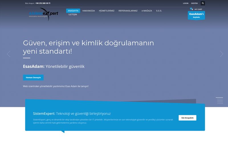 Sistem Expert