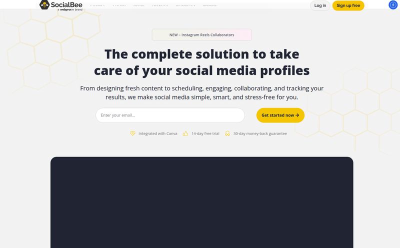 SocialBee