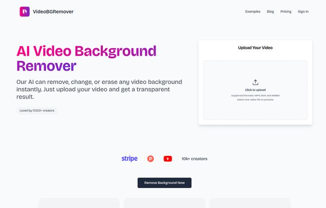 VideoBGRemover