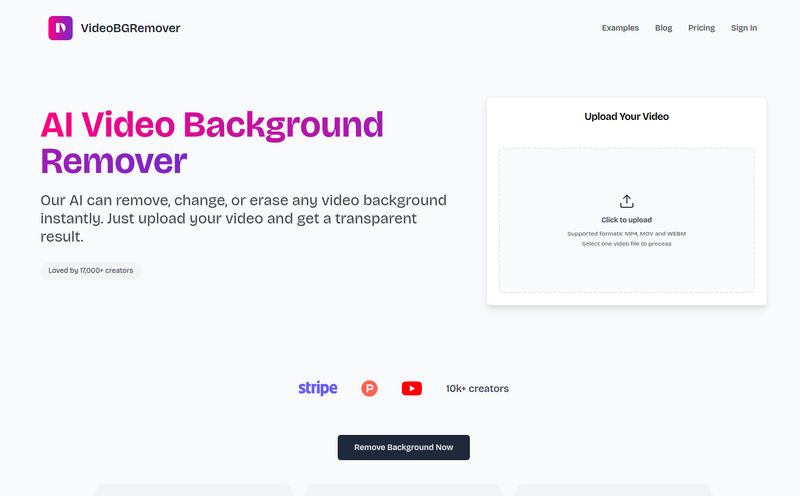 VideoBGRemover