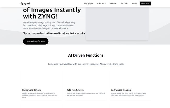 Zyng AI